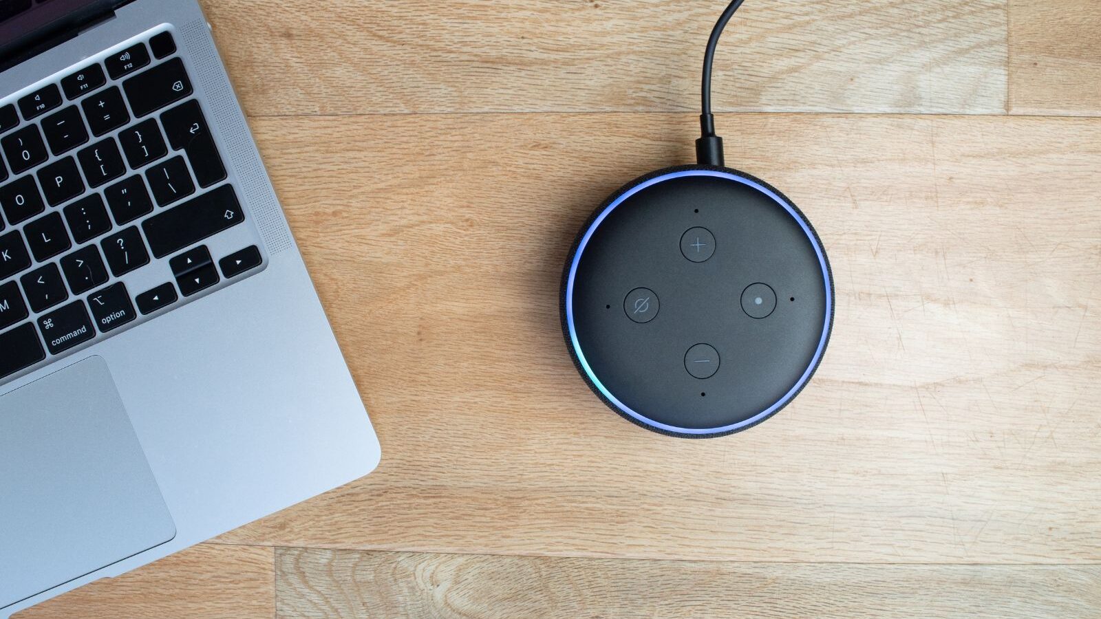 Alexa interagisce con persone- Web