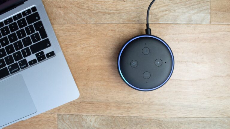 Alexa interagisce con persone- Web