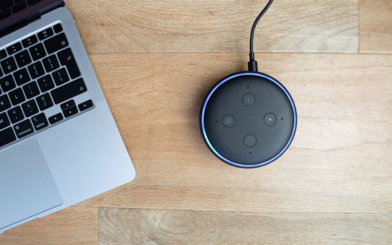Alexa interagisce con persone- Web